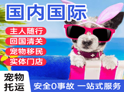 长春龙嘉航空托运国际宠物托运 【国